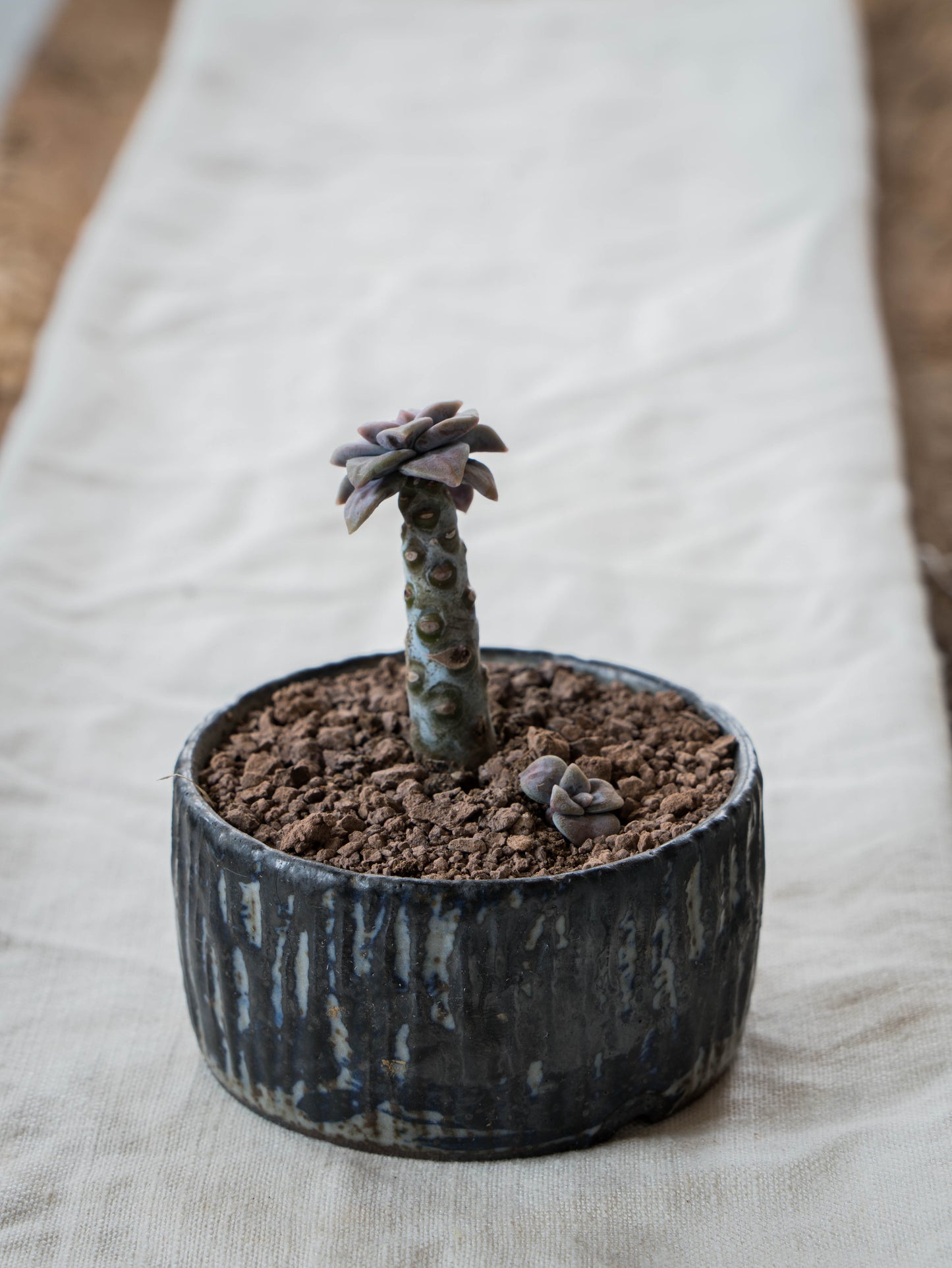 Storm Gray Plant Pot | S