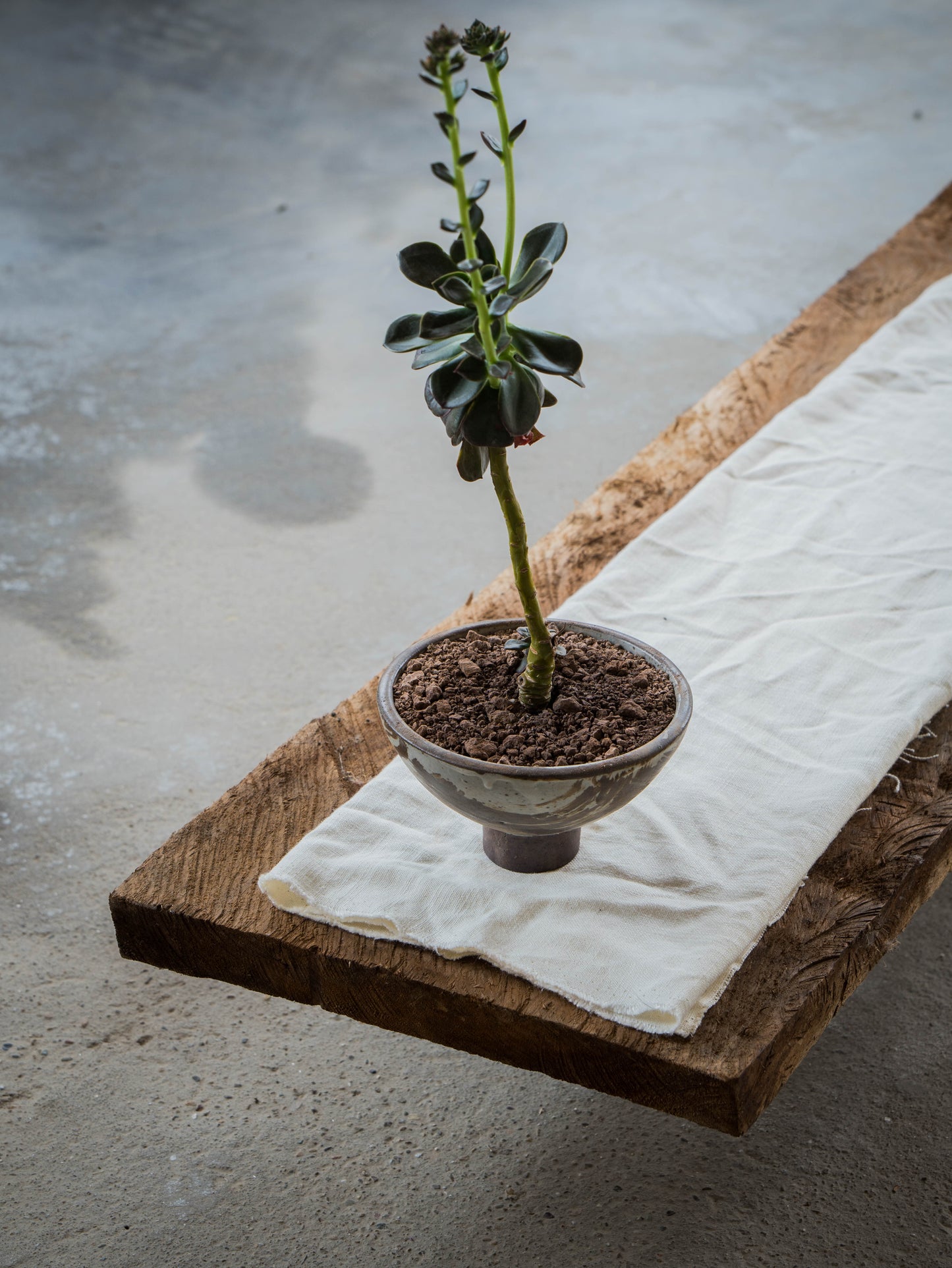 Storm Gray Plant Pot | M