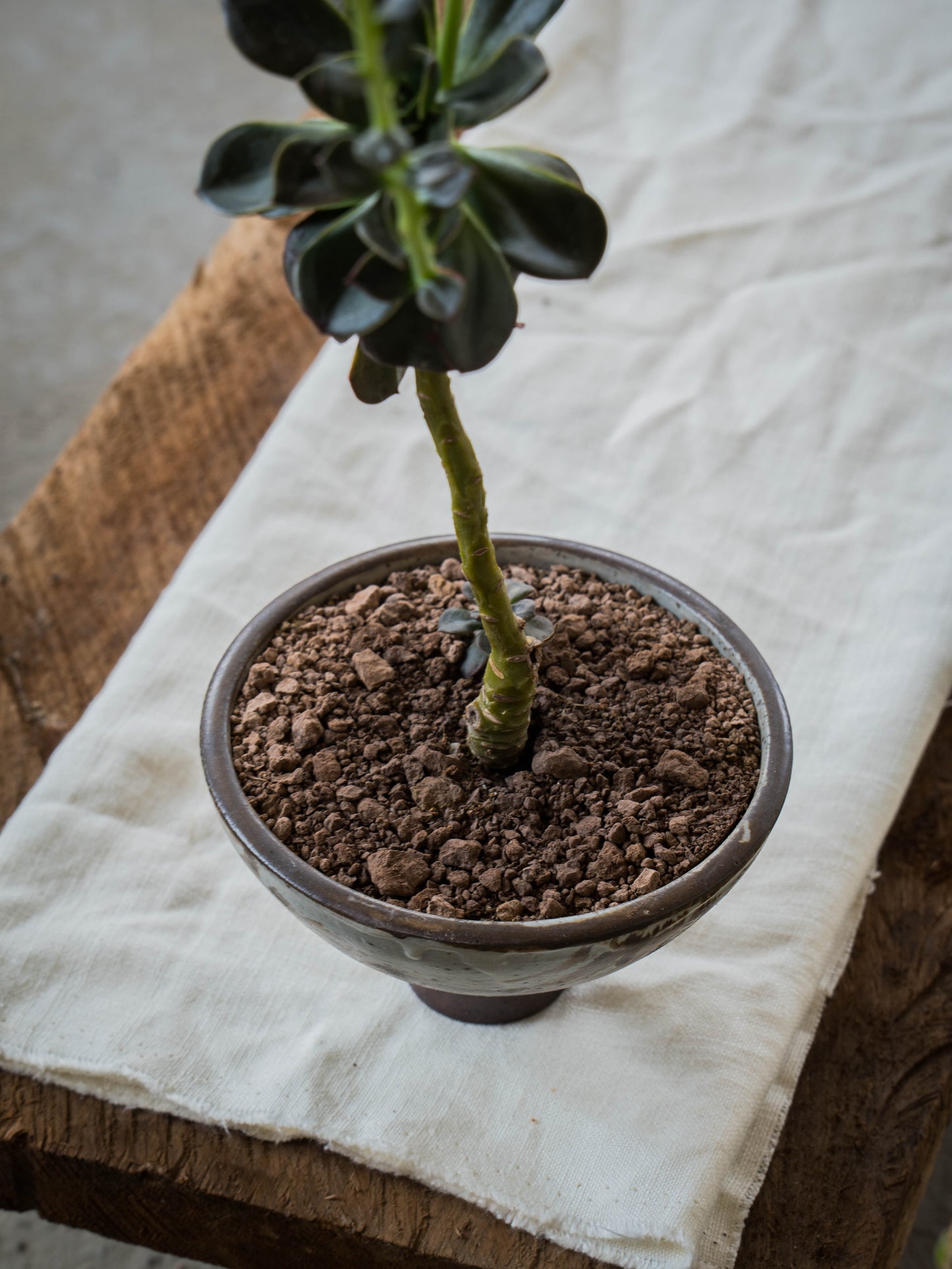 Storm Gray Plant Pot | M