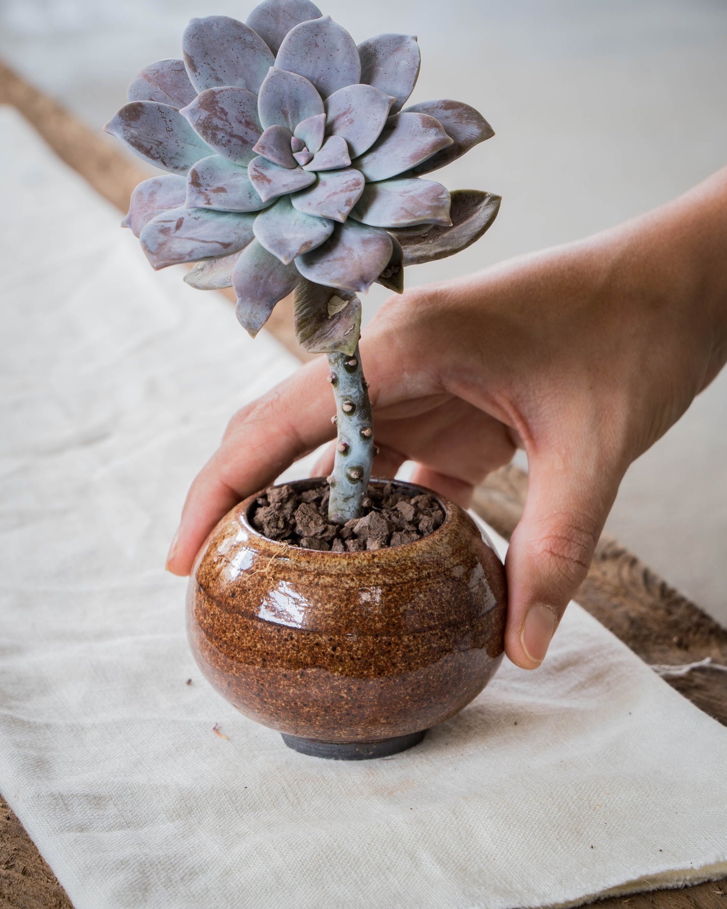 Ochre Plant Pot | S