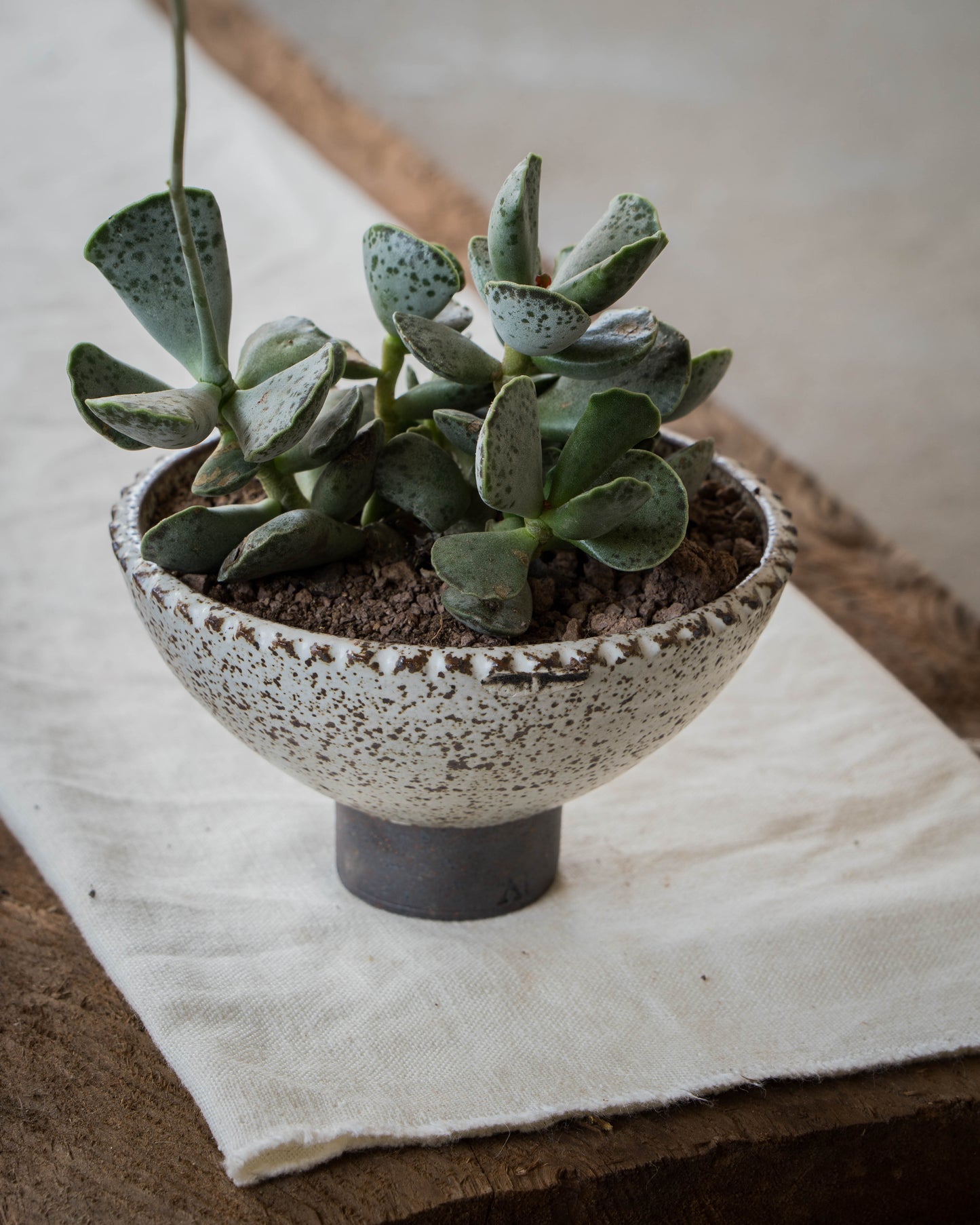 Stone White Plant Pot | M