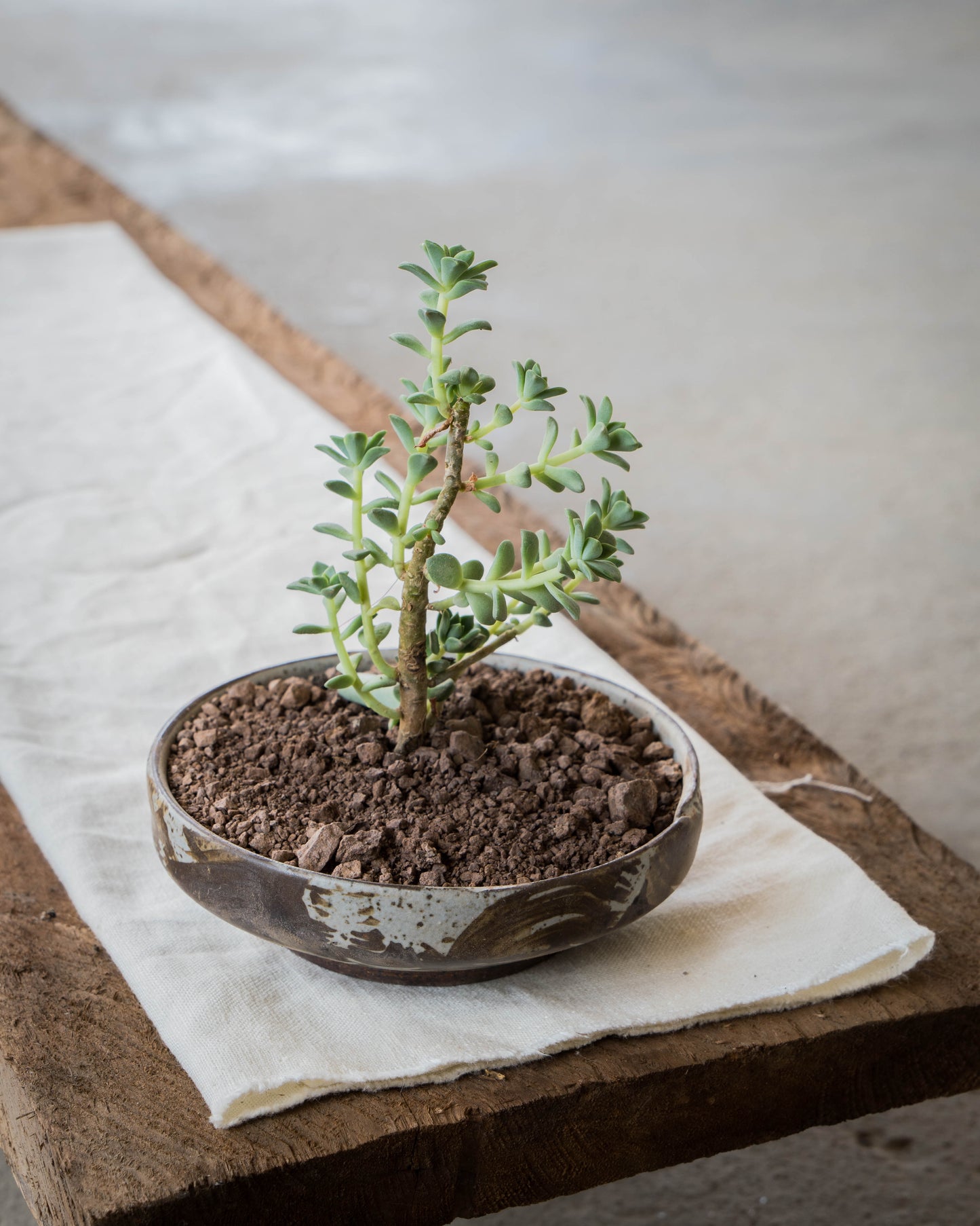 Storm Gray Plant Pot | L