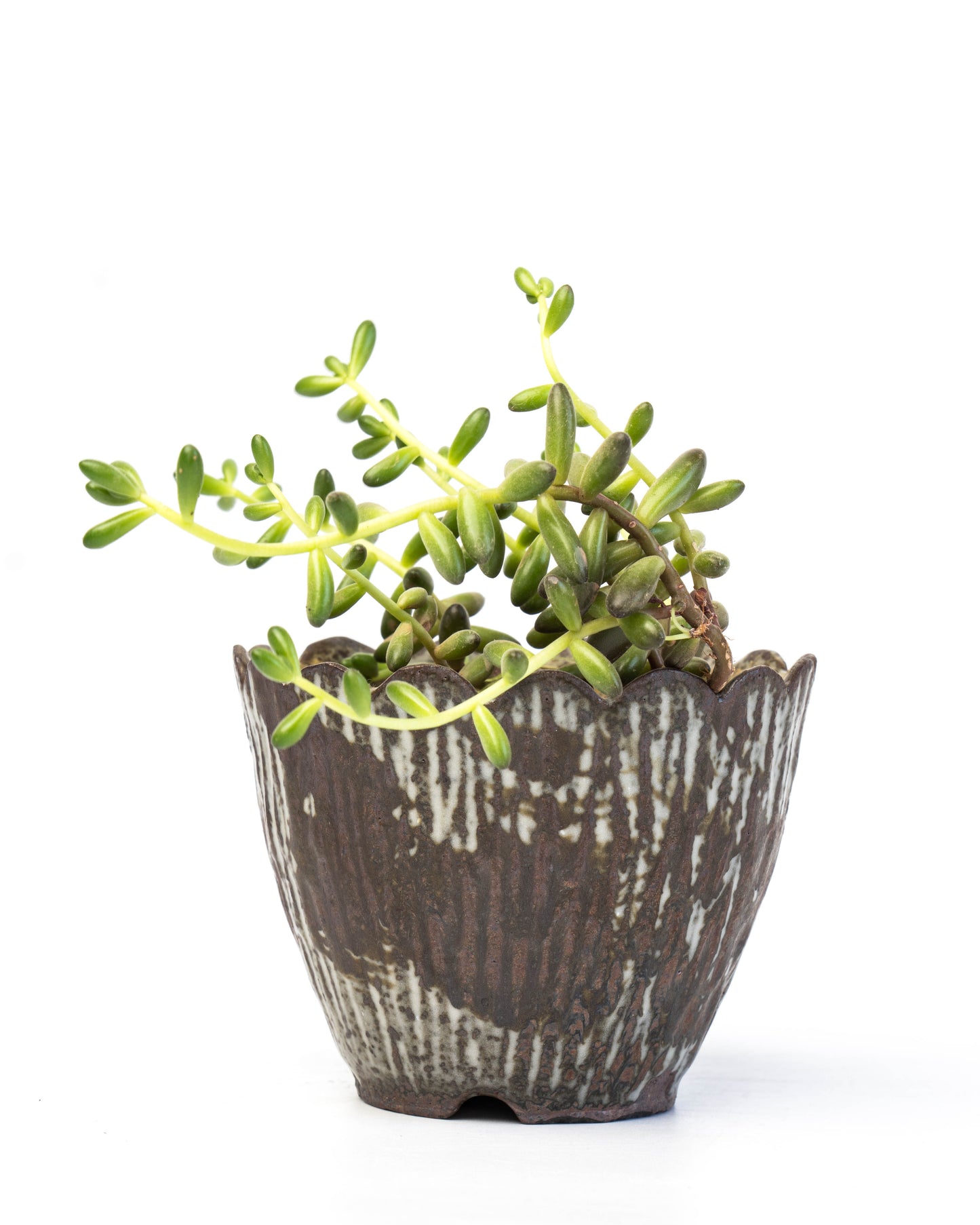 Storm Gray Plant Pot | S