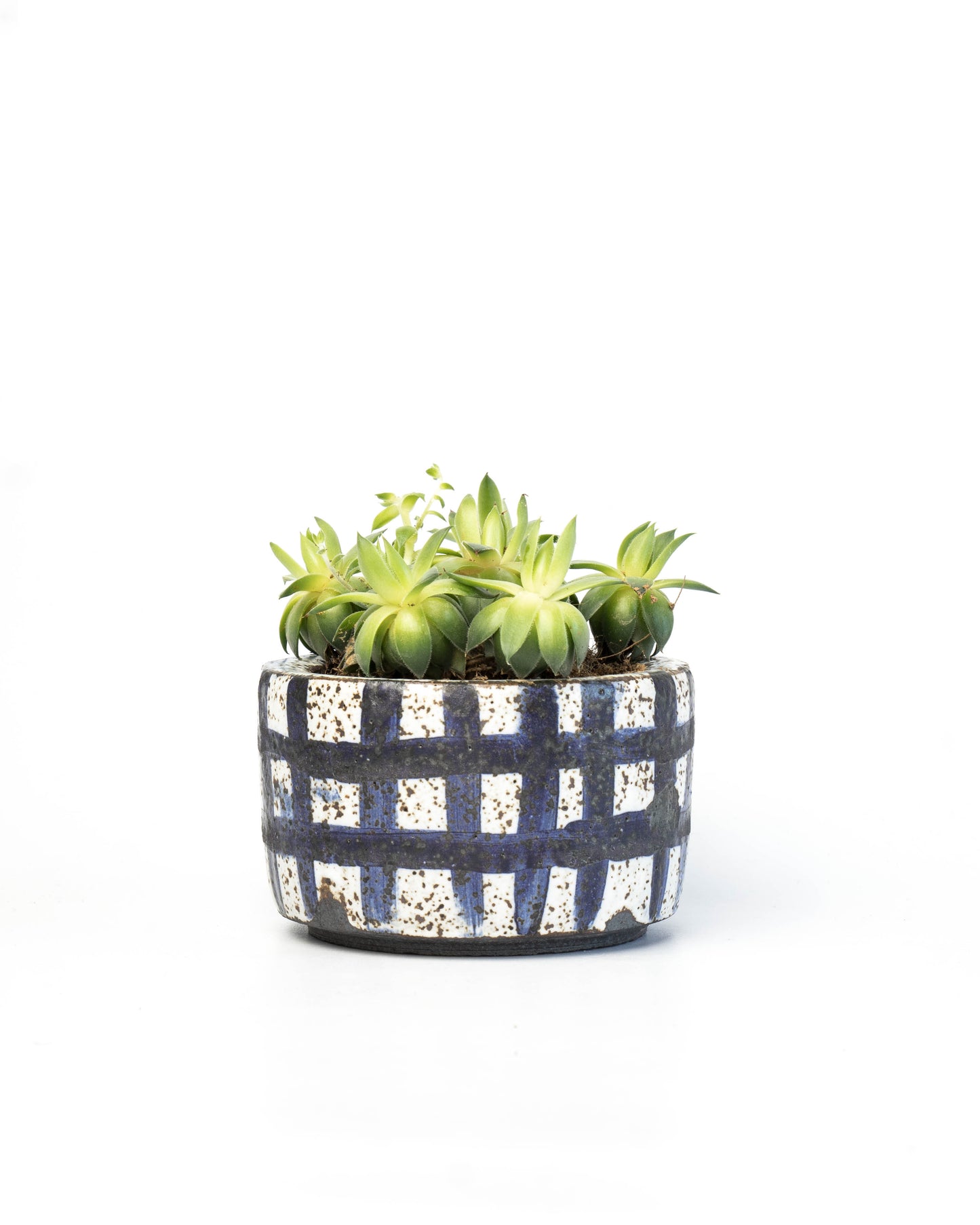 Stone White Plant Pot | S