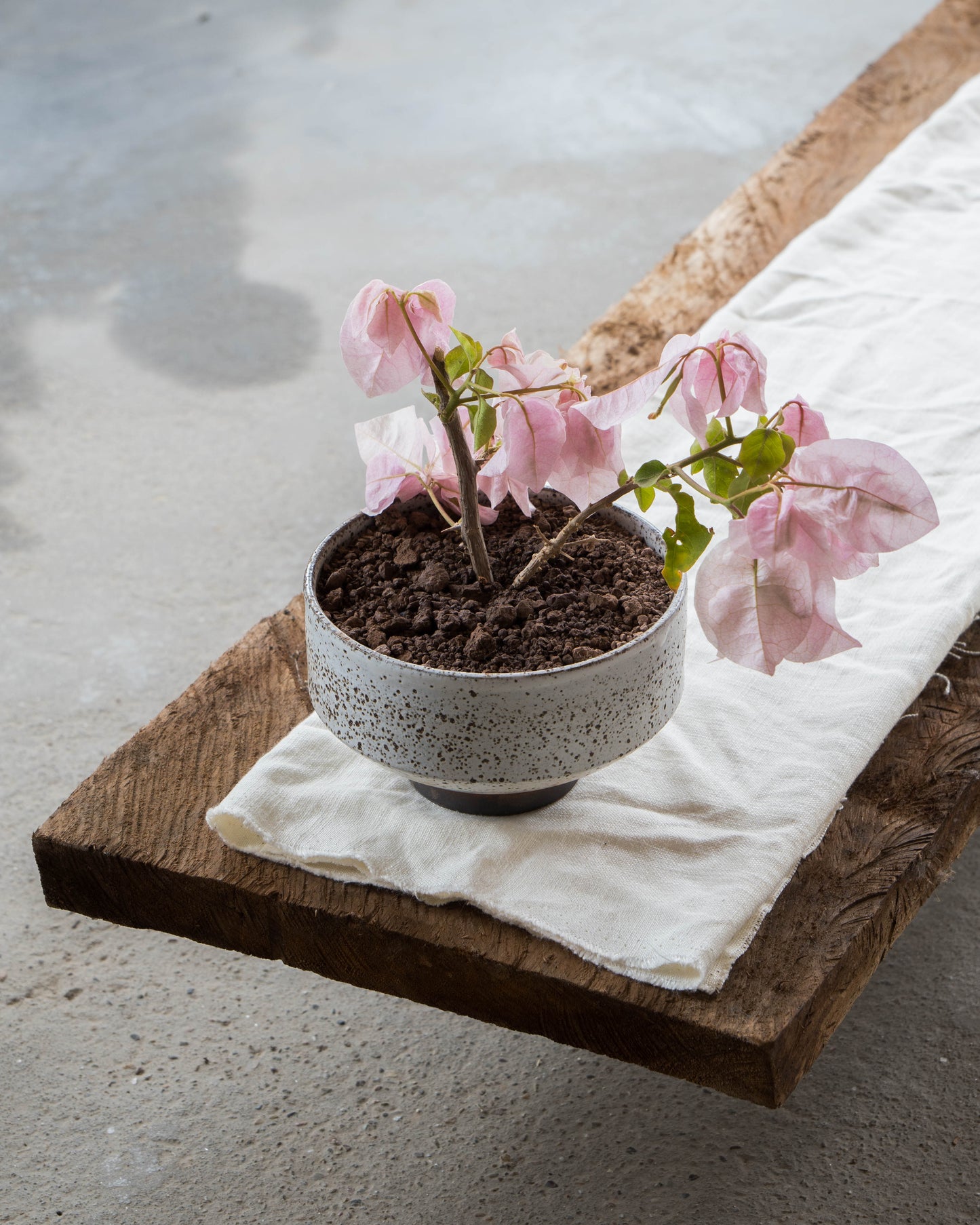 Stone White Plant Pot | L