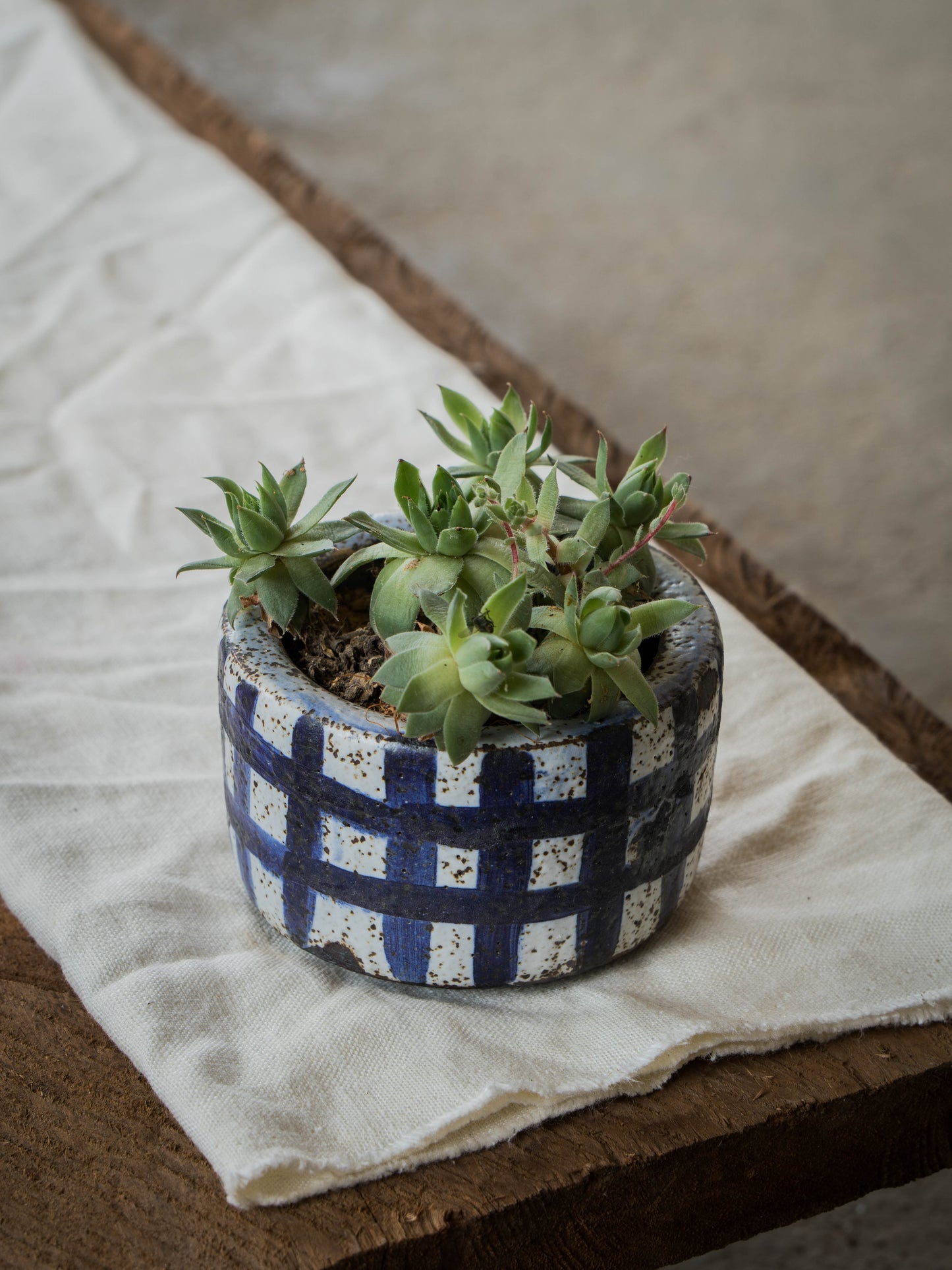 Stone White Plant Pot | S