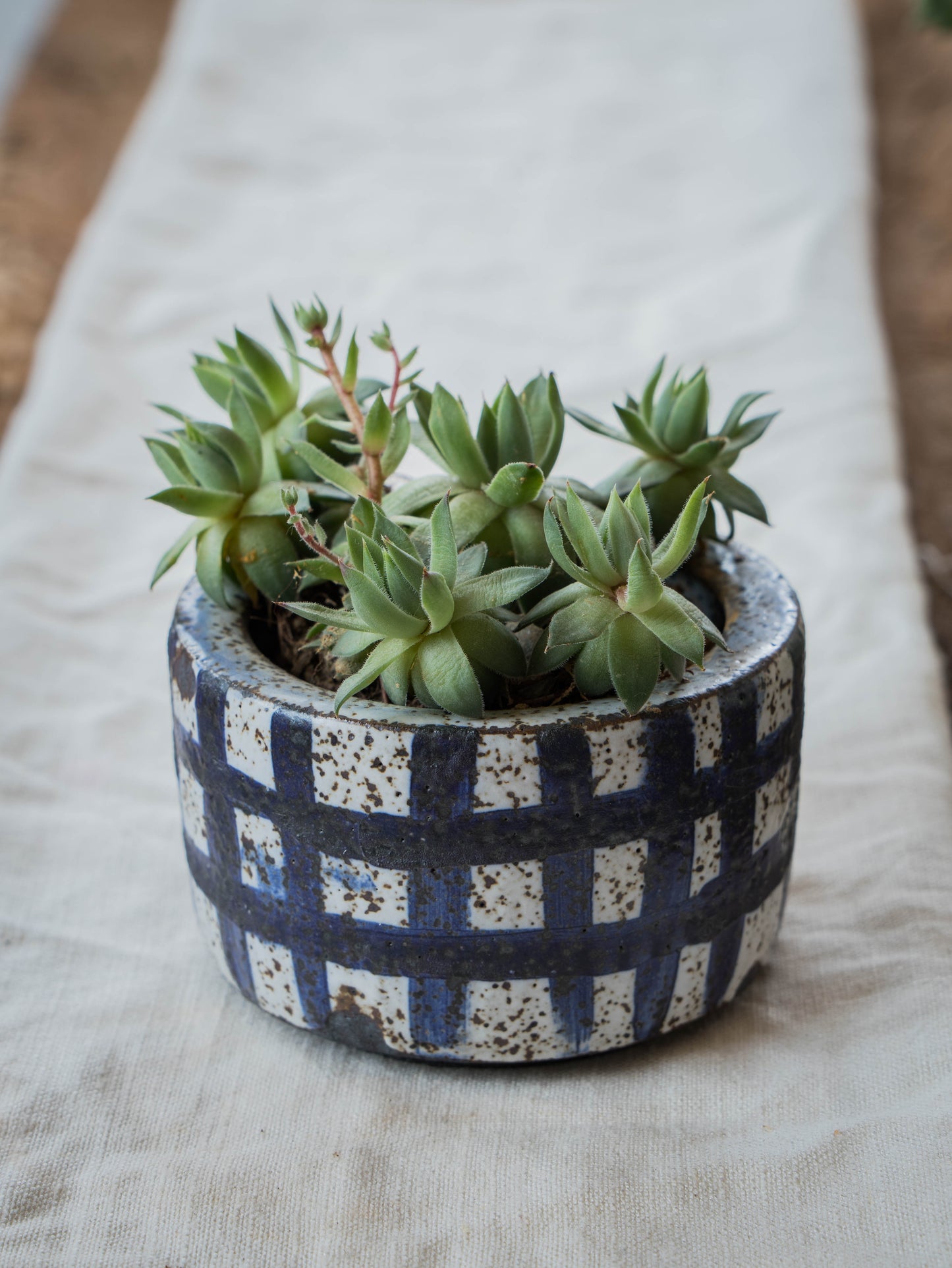 Stone White Plant Pot | S