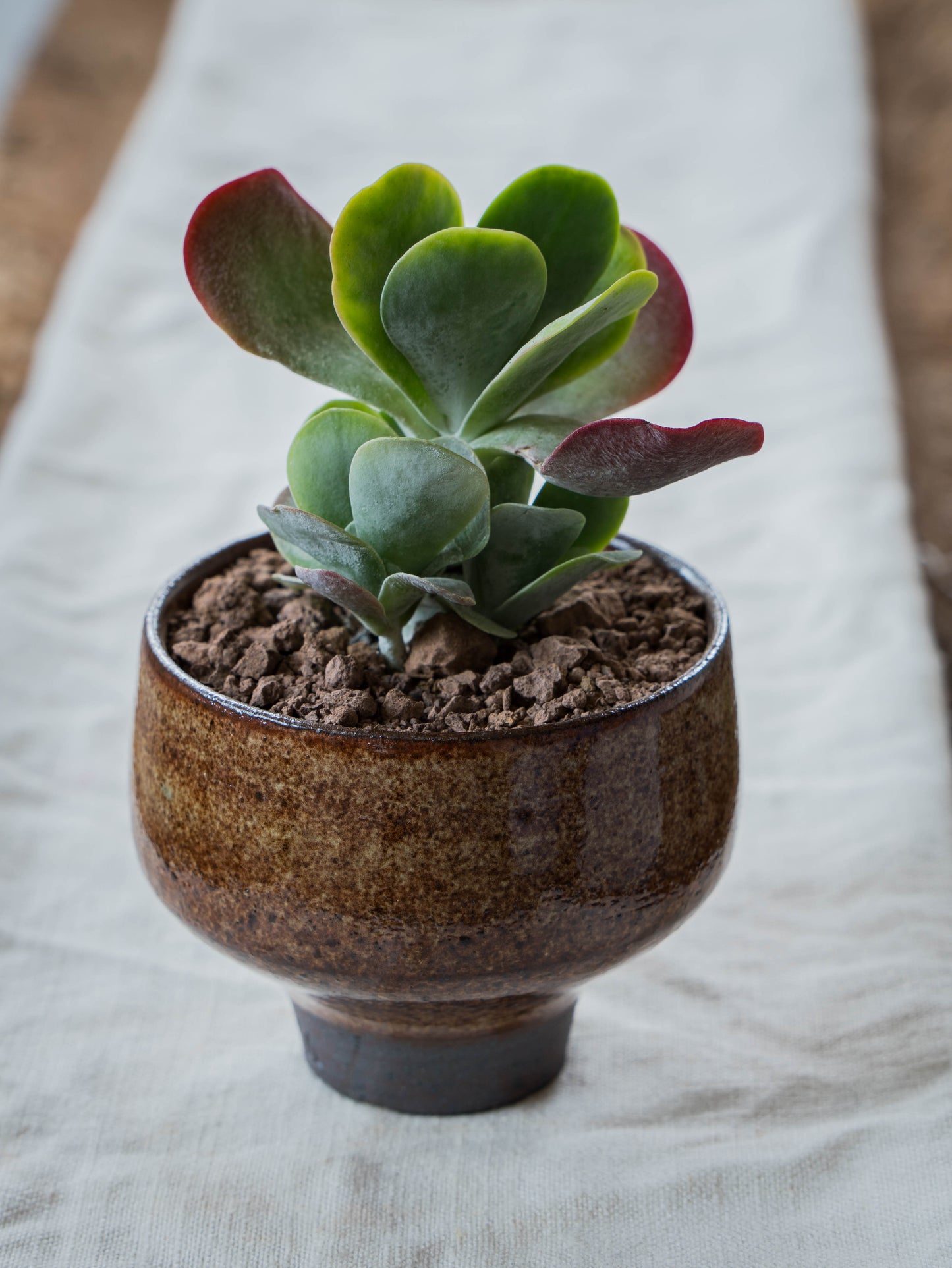 Ochre Plant Pot | S