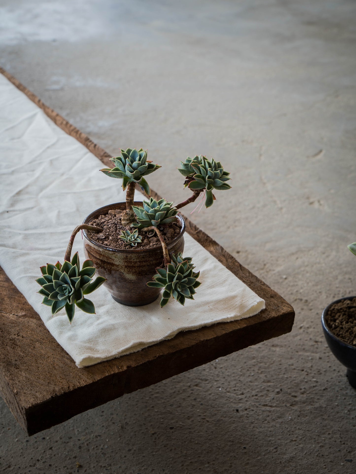 Ochre Plant Pot | S