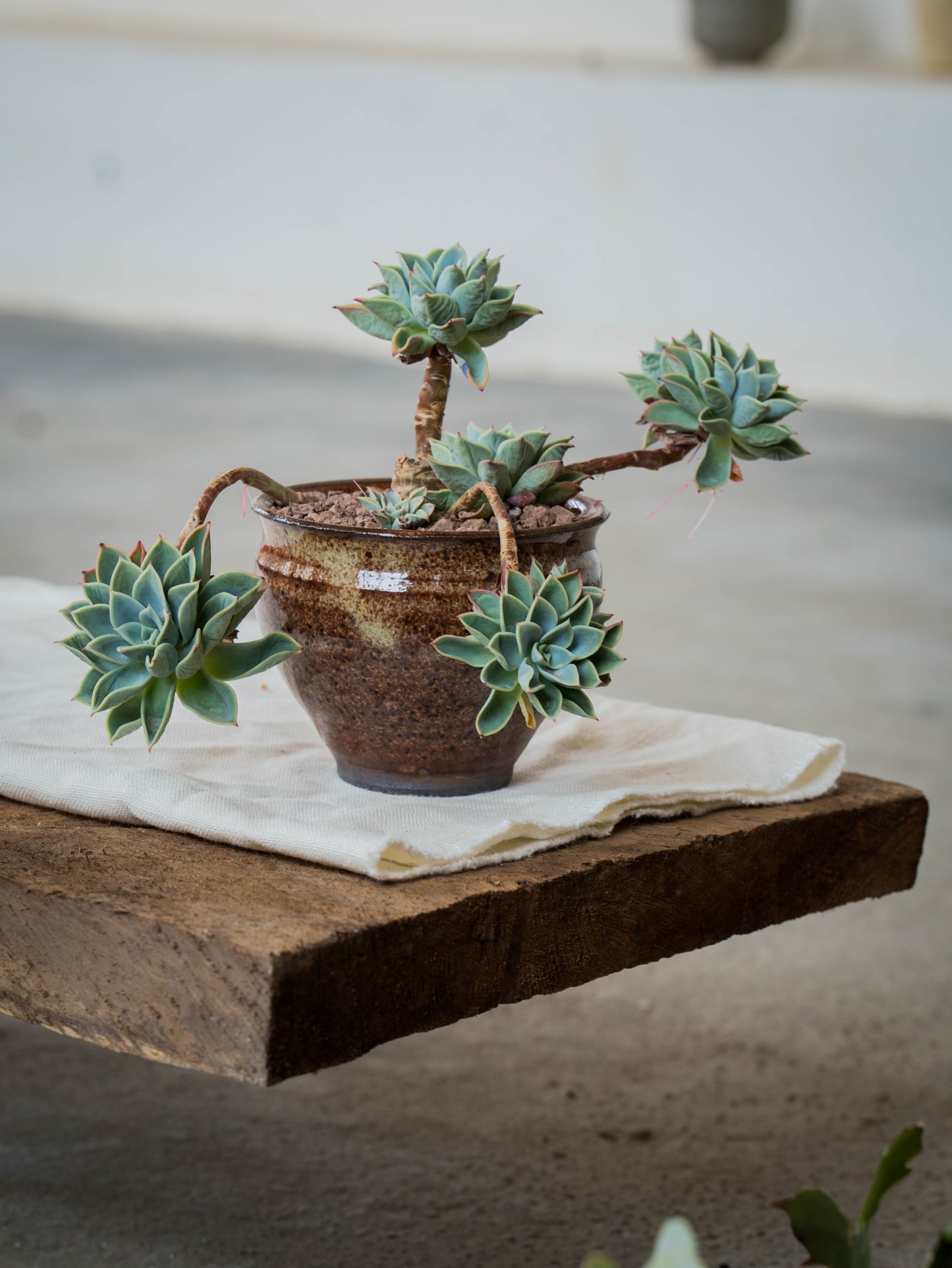 Ochre Plant Pot | S