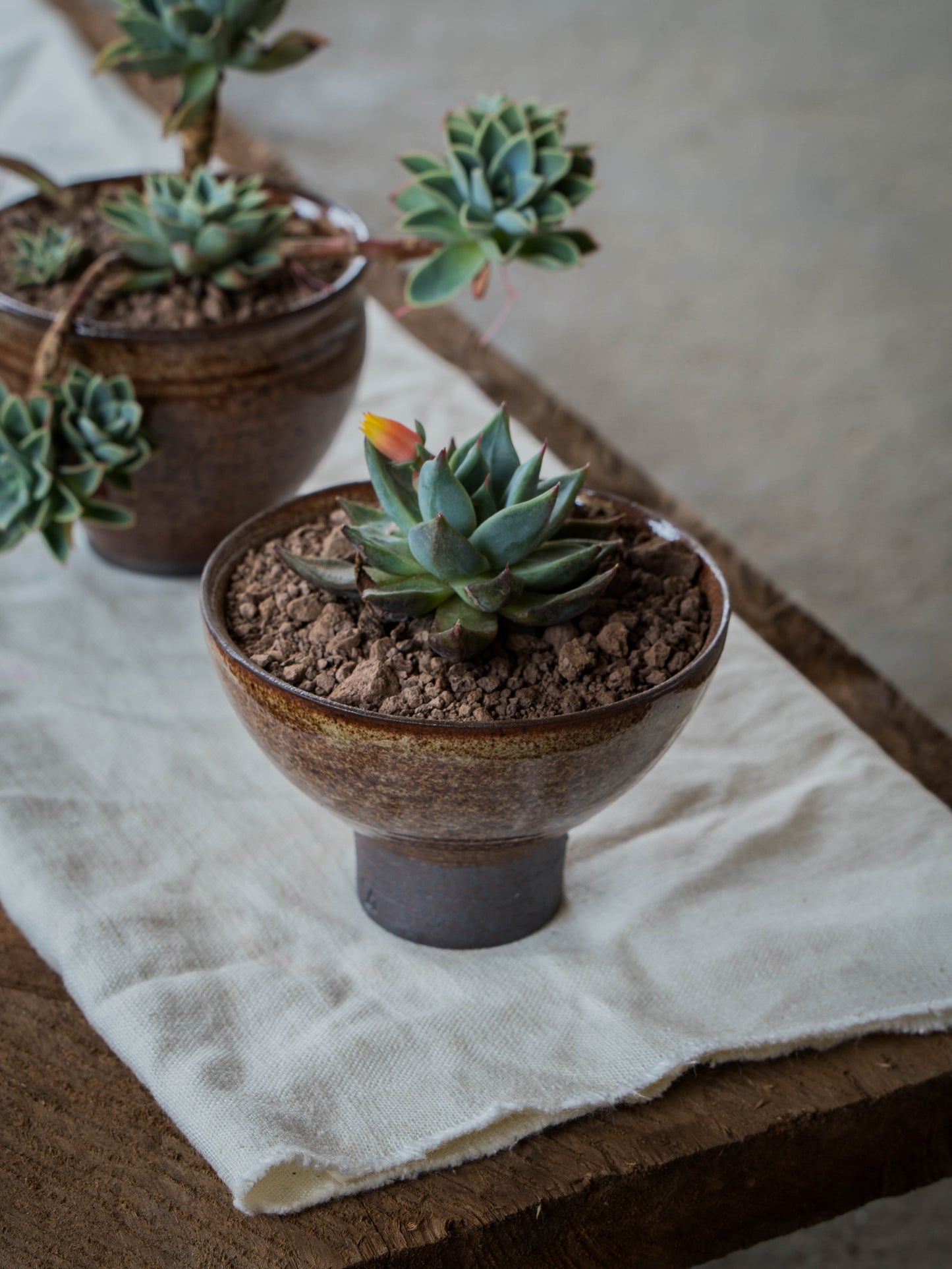 Ochre Plant Pot | S