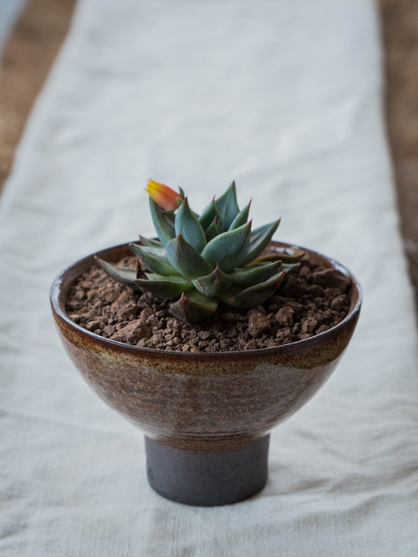 Ochre Plant Pot | S