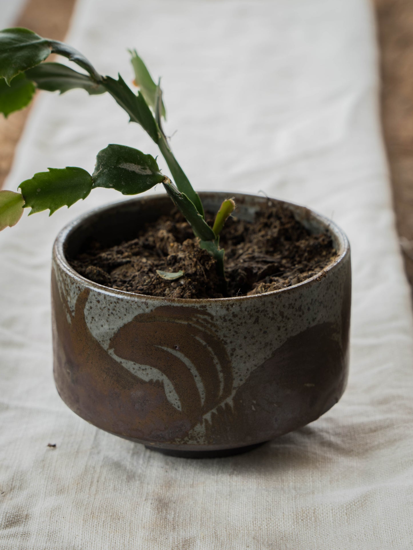 Storm Gray Plant Pot | M