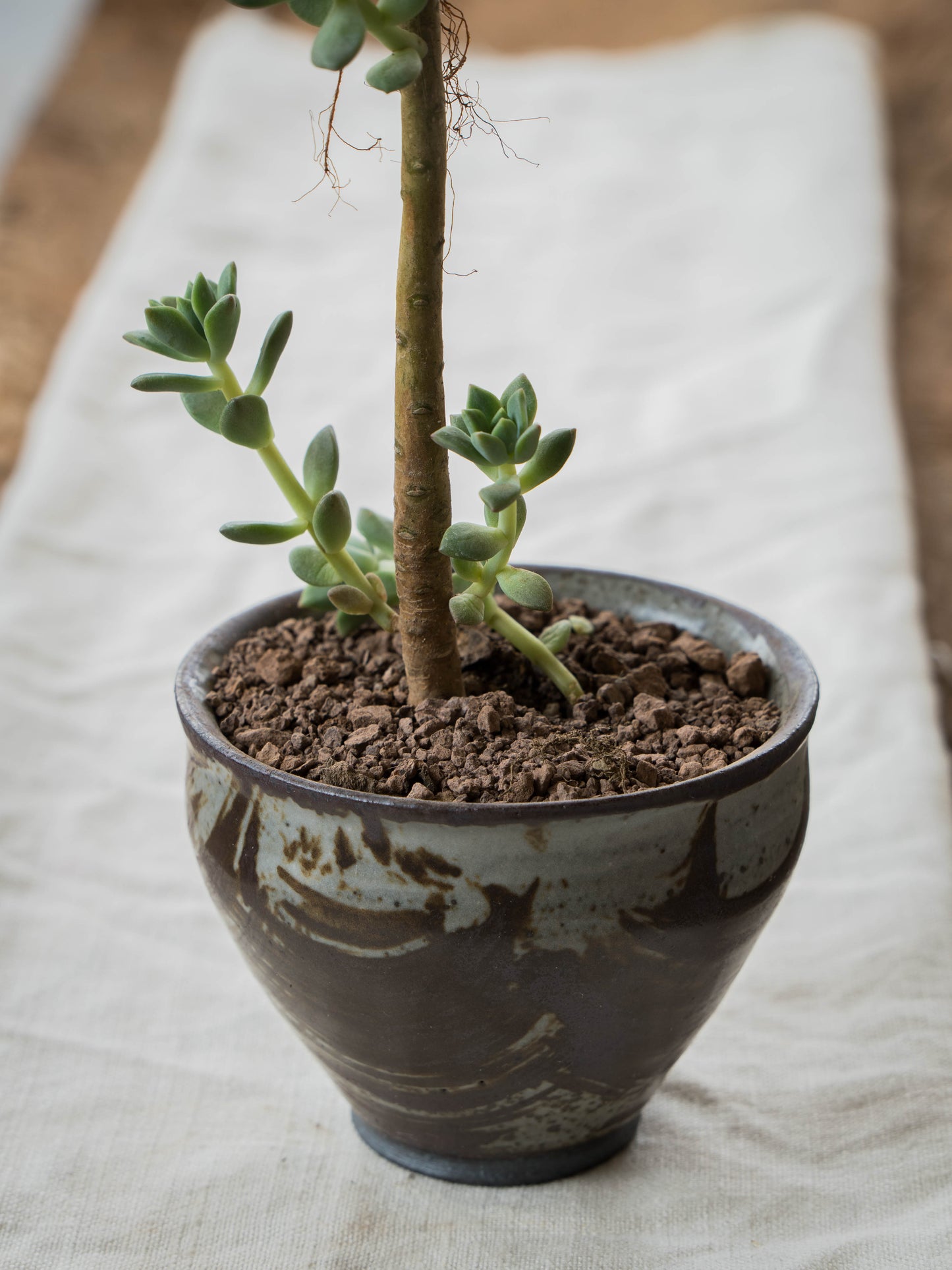 Storm Gray Plant Pot | S