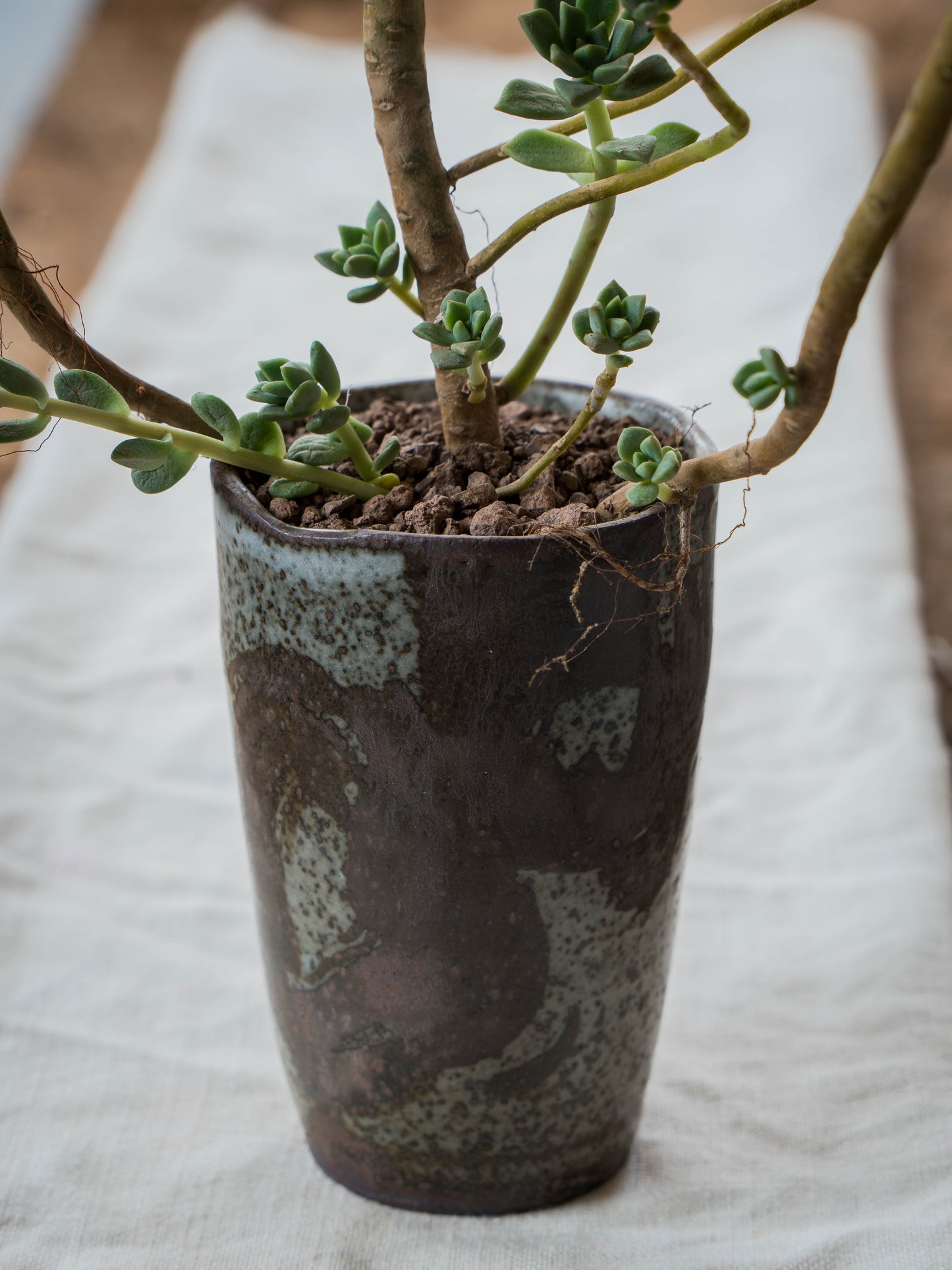 Storm Gray Plant Pot | M