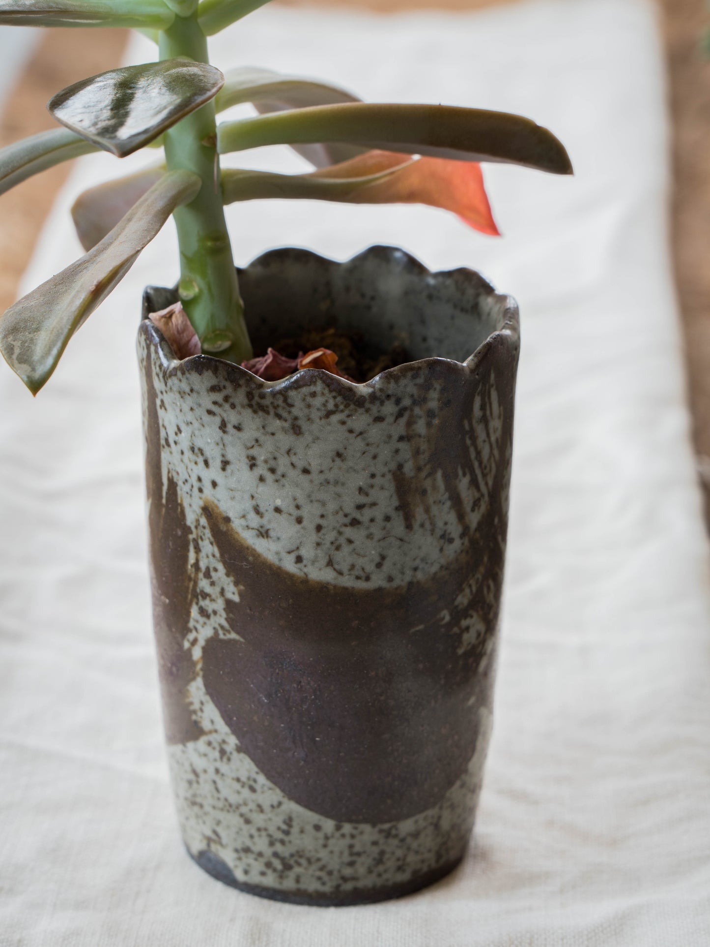 Storm Gray Plant Pot | M