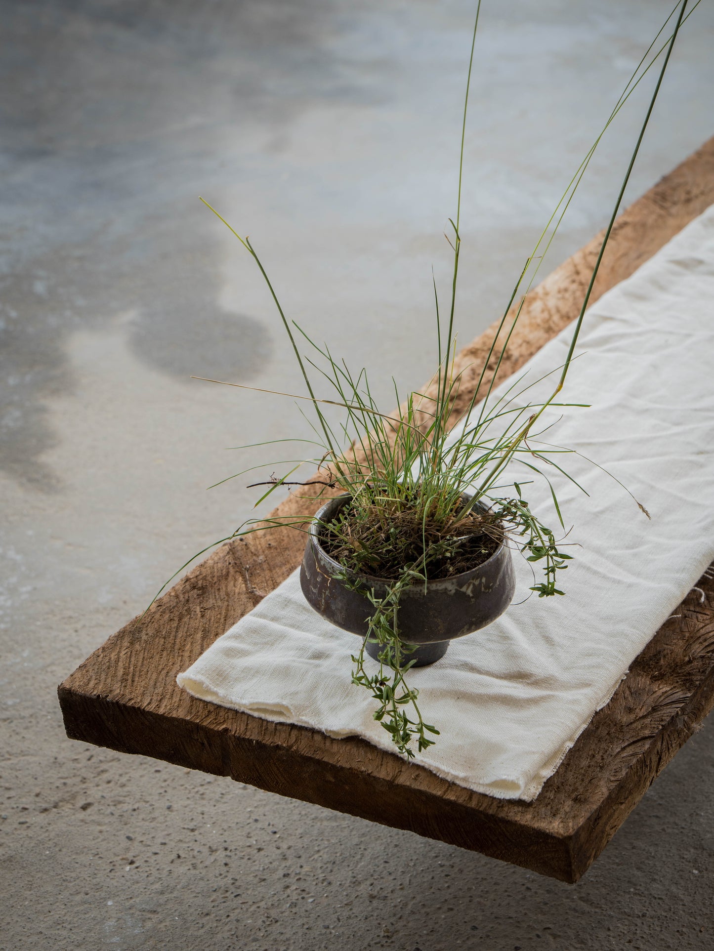 Storm Gray Plant Pot | M