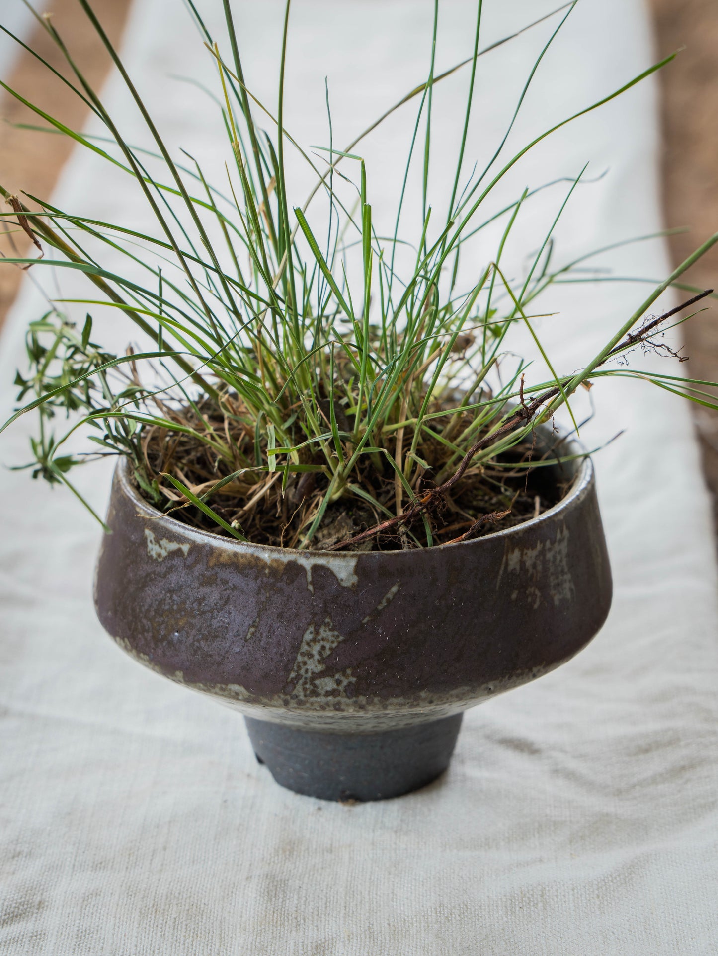 Storm Gray Plant Pot | M