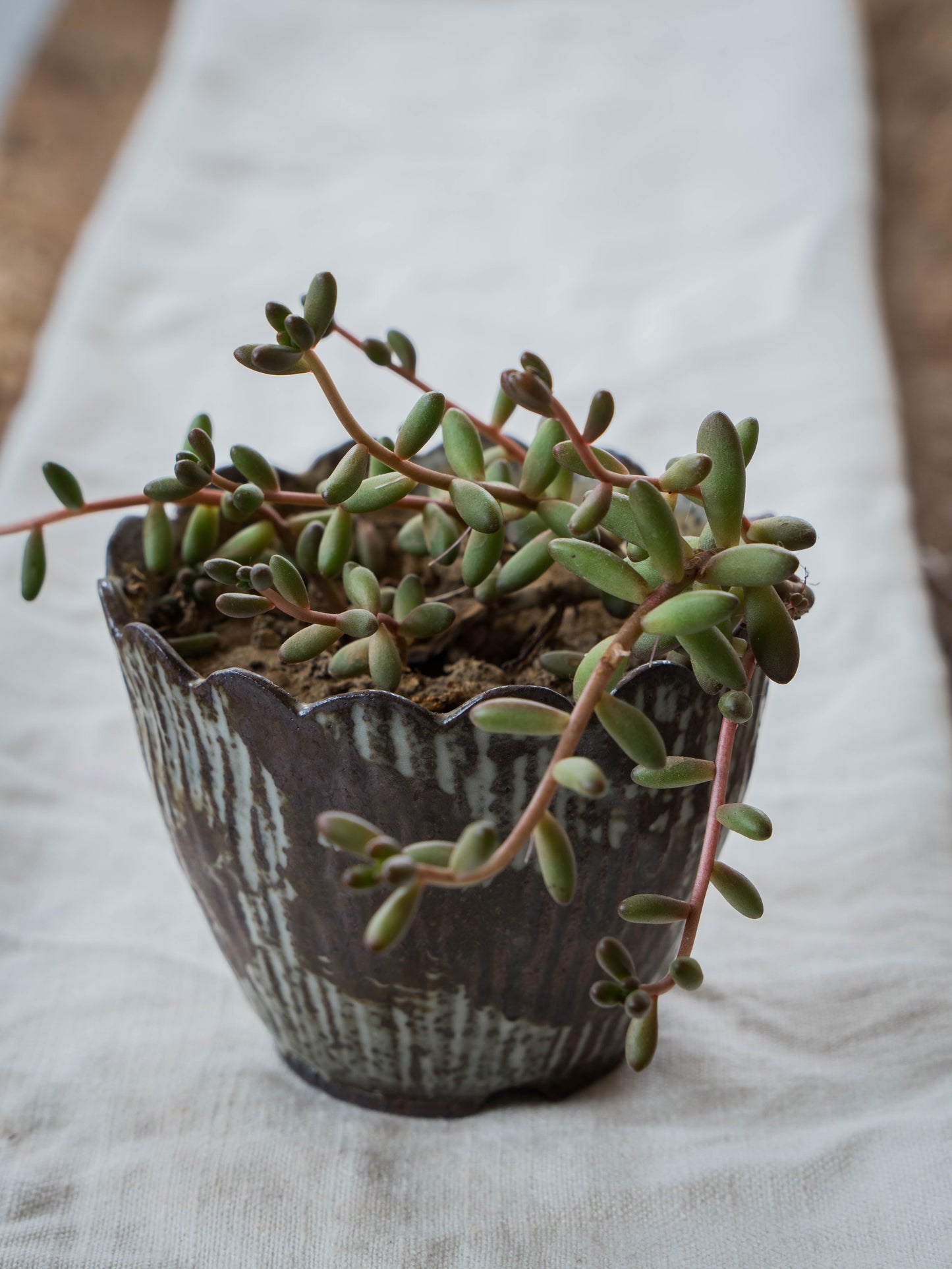 Storm Gray Plant Pot | S