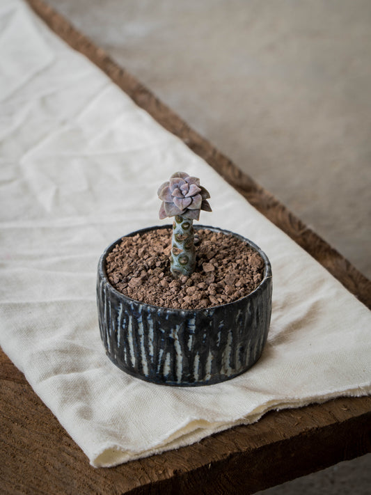 Storm Gray Plant Pot | S