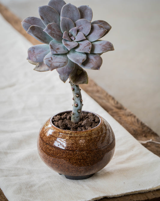 Ochre Plant Pot | S