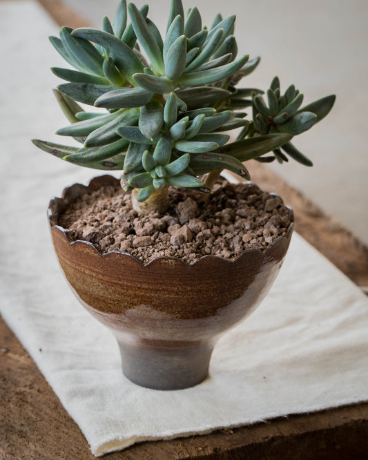 Ochre Plant Pot | M