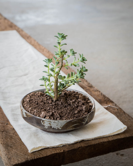 Storm Gray Plant Pot | L