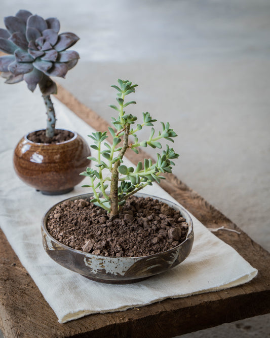 Storm Gray Plant Pot | L