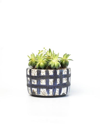 Stone White Plant Pot | S