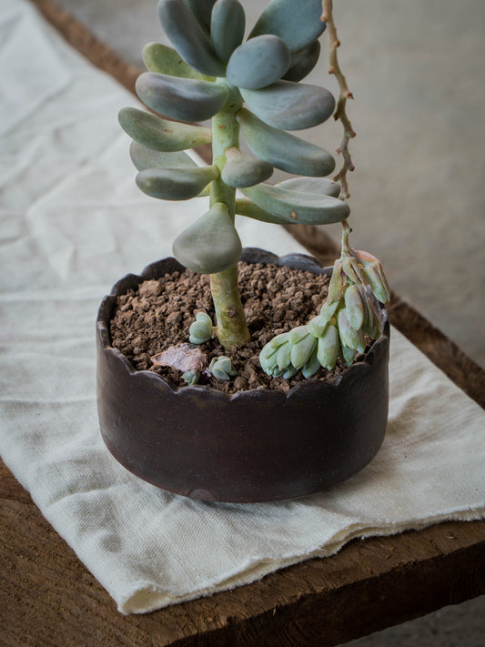 Copper Lustre Plant Pot | M