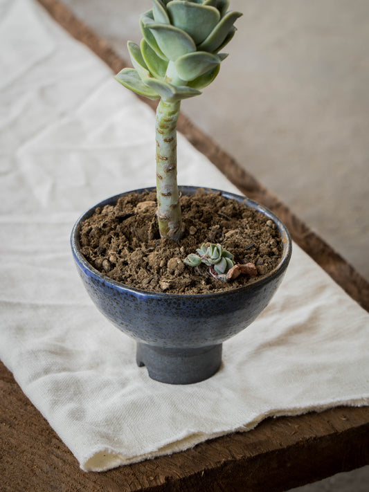 Lavender Plant Pot | S