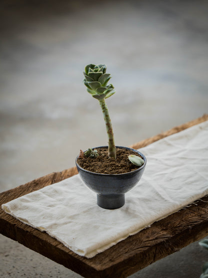 Lavender Plant Pot | S