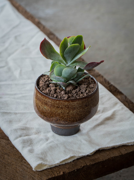 Ochre Plant Pot | S