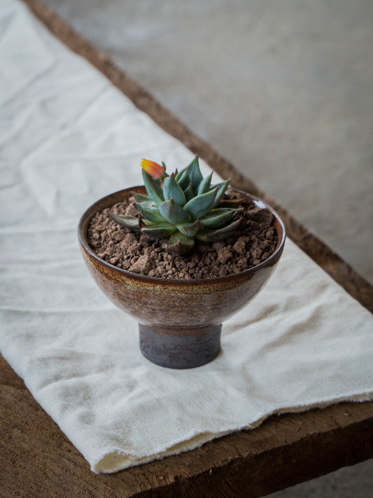 Ochre Plant Pot | S