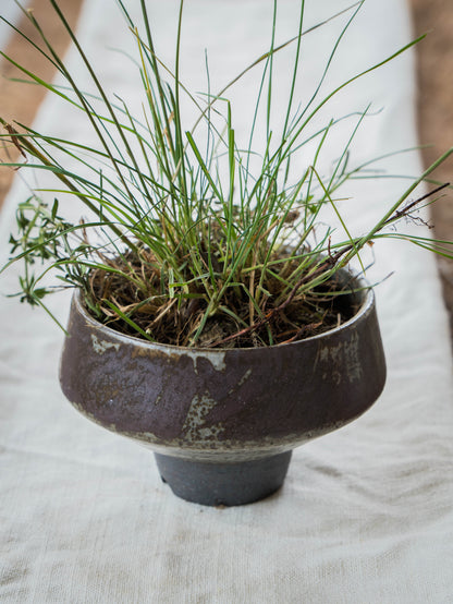 Storm Gray Plant Pot | M