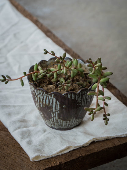 Storm Gray Plant Pot | S