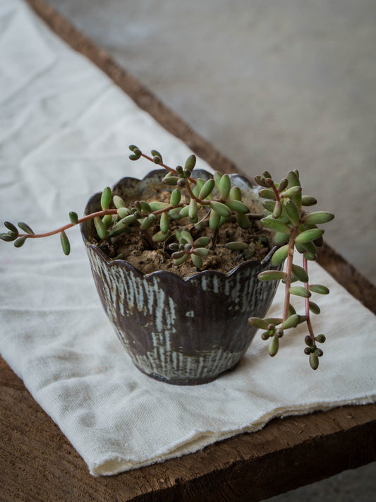 Storm Gray Plant Pot | S
